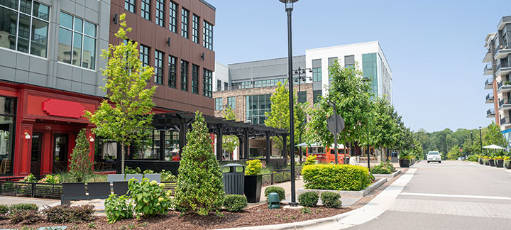 Luxury Mountain Rental